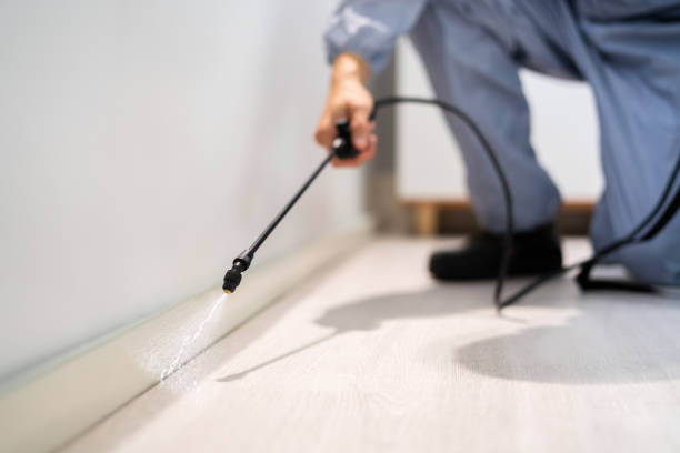 Licensed Fumigation Services service in Boise City, OK - Nex Pest Control