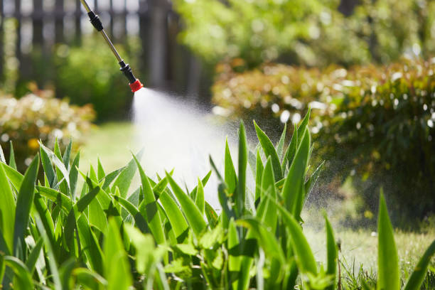 24/7 Emergency Fumigation Services experts in Boise City, OK