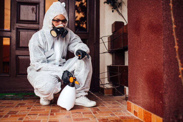 Reliable Fumigation Services contractor in Boise City, OK by Nex Pest Control