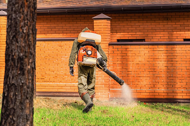 Trusted Termite Control service in Boise City, OK - Nex Pest Control